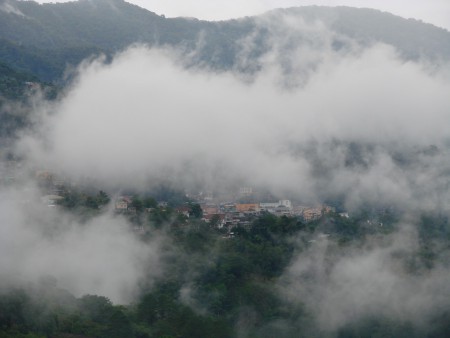 la neblina hermosa en las mañanas